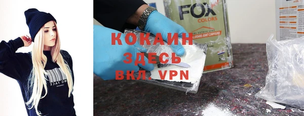 прущий лед Алзамай
