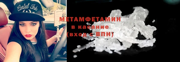 прущие грибы Ростов