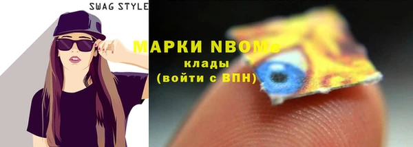 прущий лед Алзамай