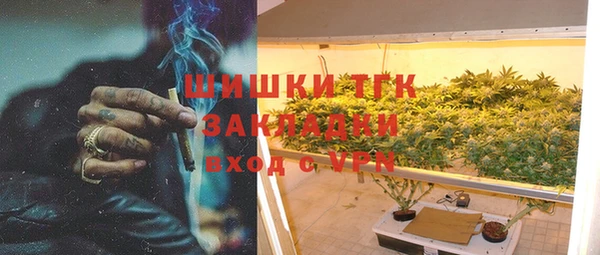 прущий лед Алзамай