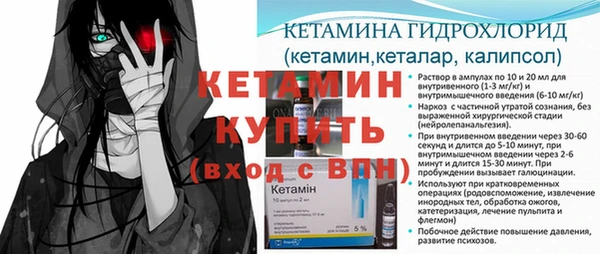 крисы Алексин