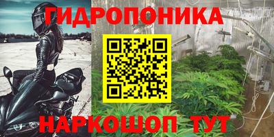 дмт Абакан