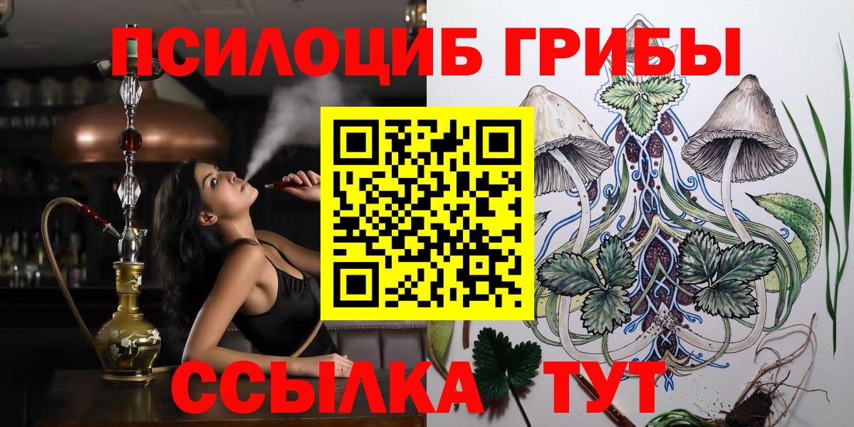 Алексеевка  Галлюциногенные грибы Psilocybe  Вход с VPN 