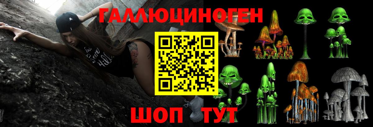 Галлюциногенные грибы GOLDEN TEACHER Алексеевка